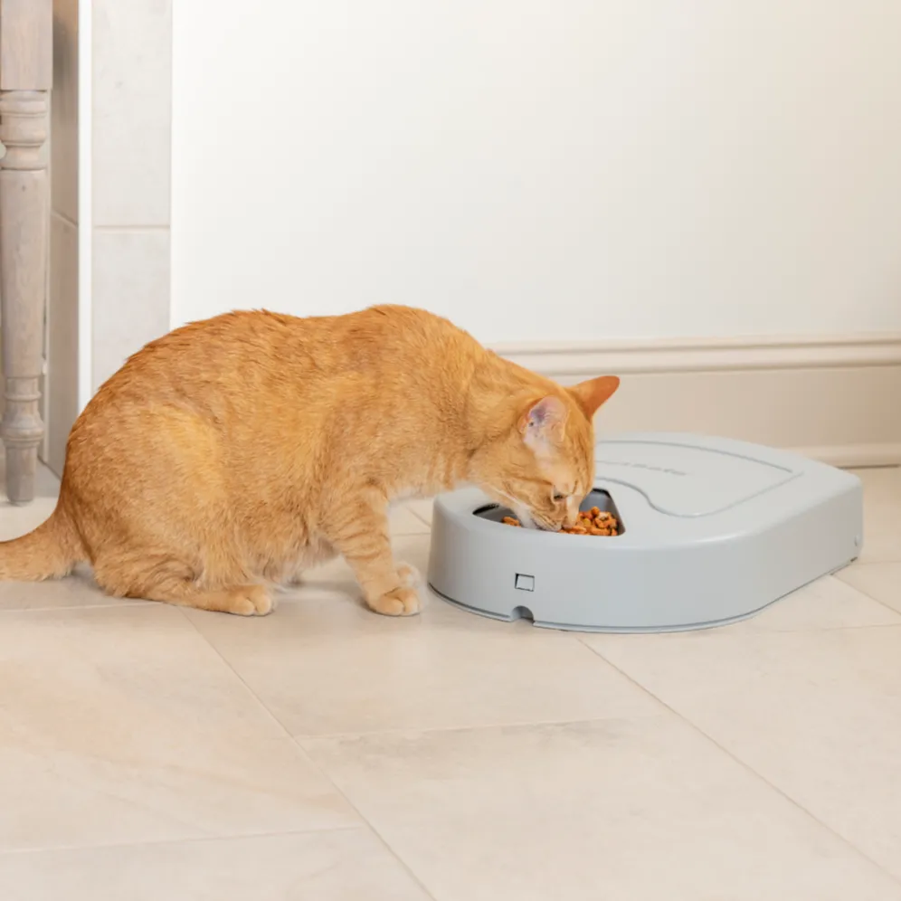 Eatwell™ 5 Meal Pet Feeder