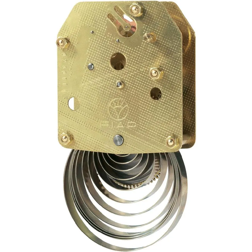 FIAP Replacement 12 Hour Clock for Belt Feeders