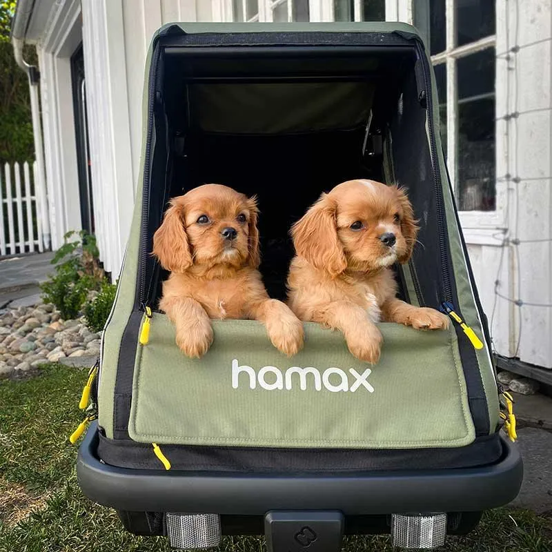 Hamax Pluto Dog Pram & Dog Bike Trailer | Medium | Green