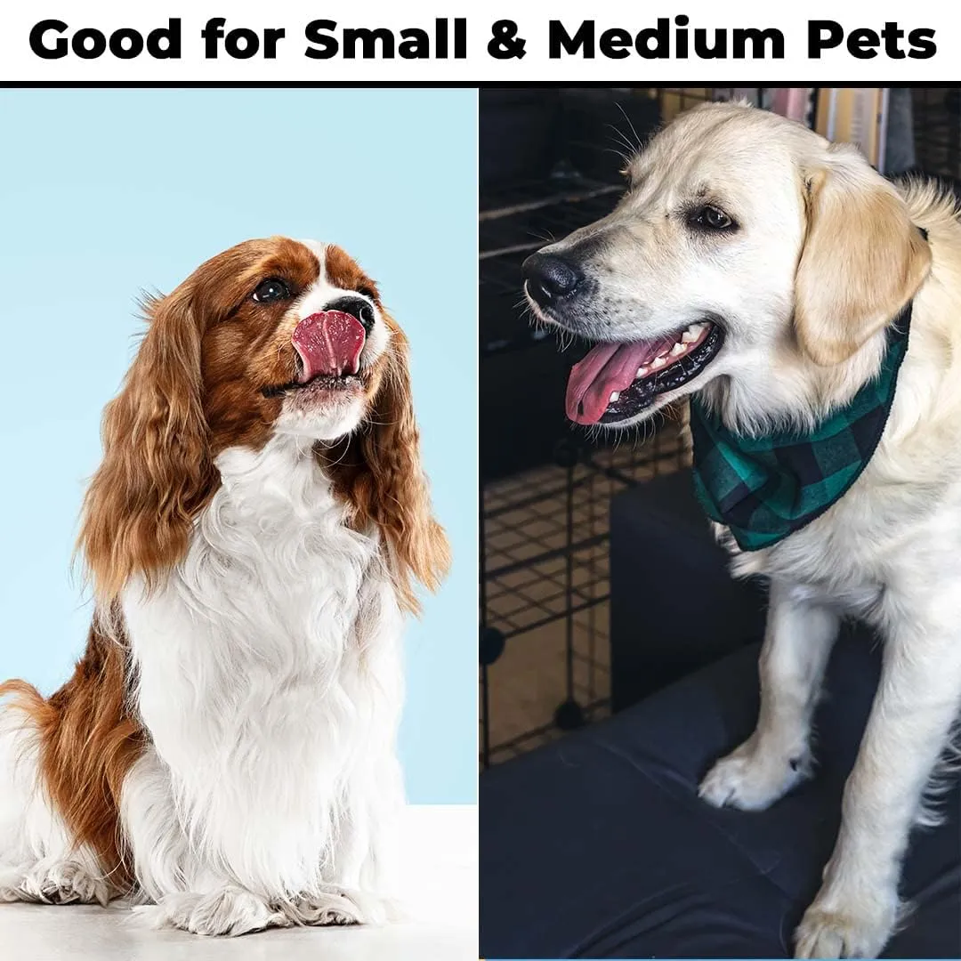 Kuber Industries Animal Feeding Plastic 2 in 1 Pet Bowls | Cat & Dog Bowl | Small/Medium Size Pet Feeding Bowl | Non-Toxic & 100% Safe for Pets (Pack of 4) | Light Green