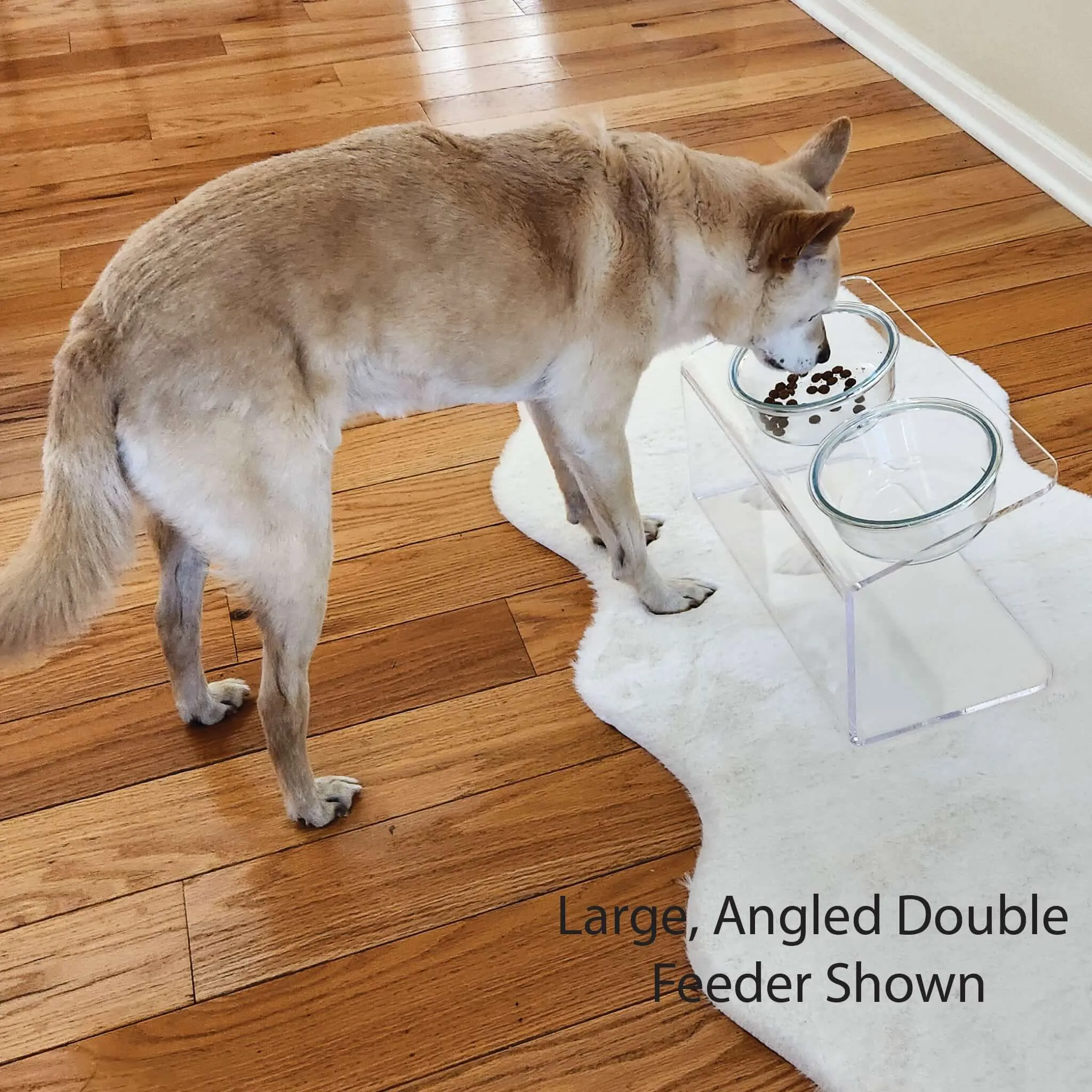 Modern Acrylic Glass Bowl Feeders, Standard Style, Single Bowl