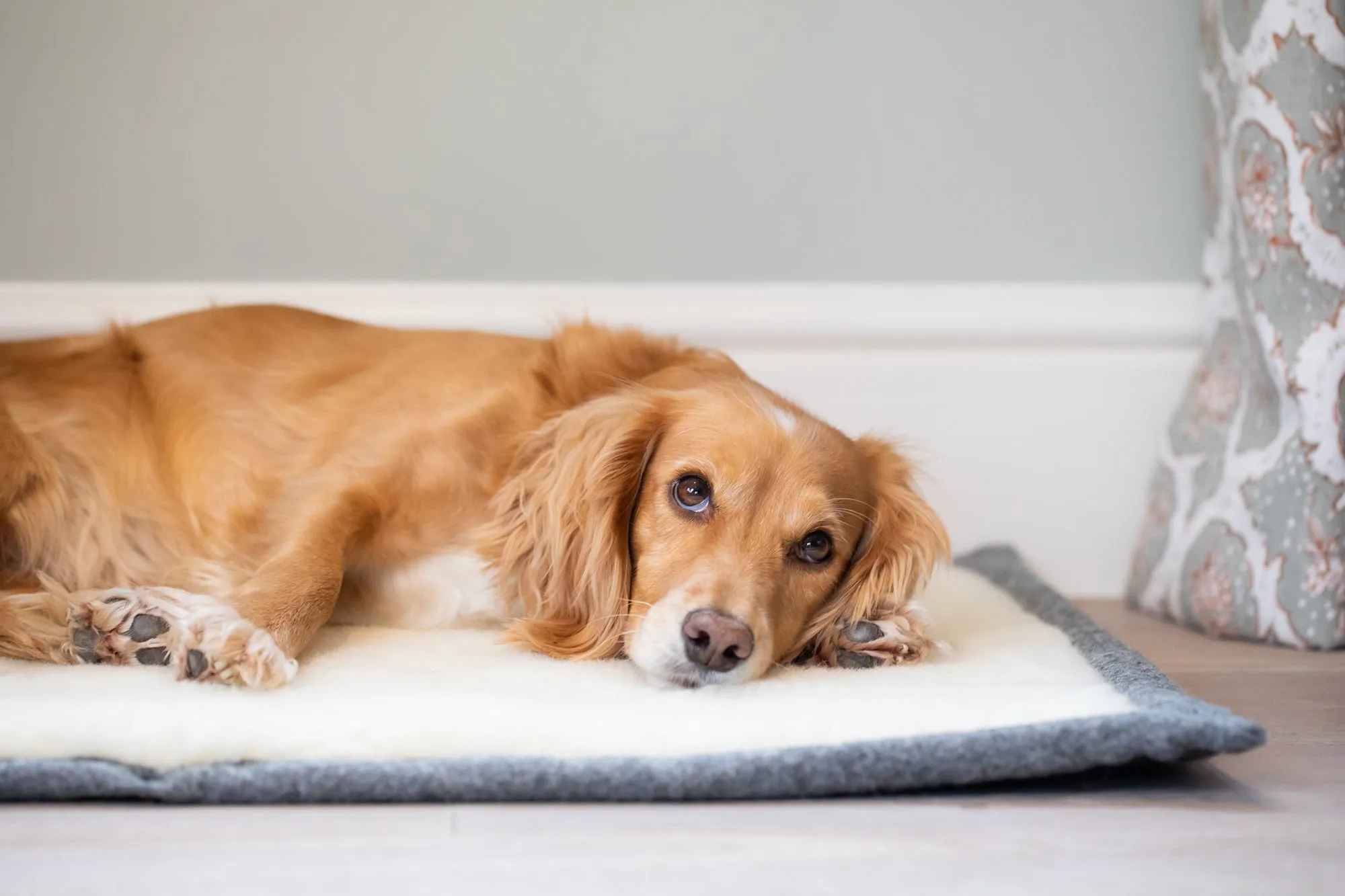 Slate Grey Bespoke Dog Roll Mat